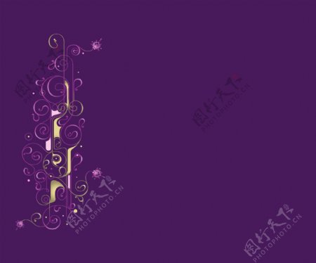 紫色花藤AE模板