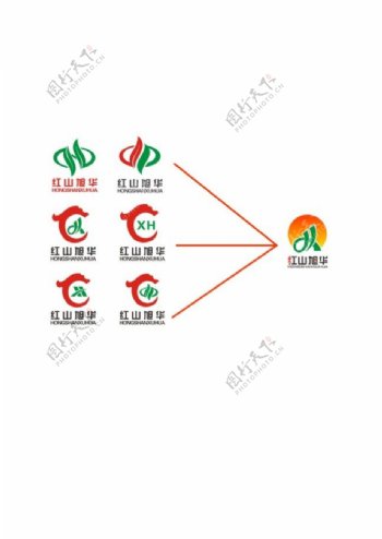 红山旭华logo