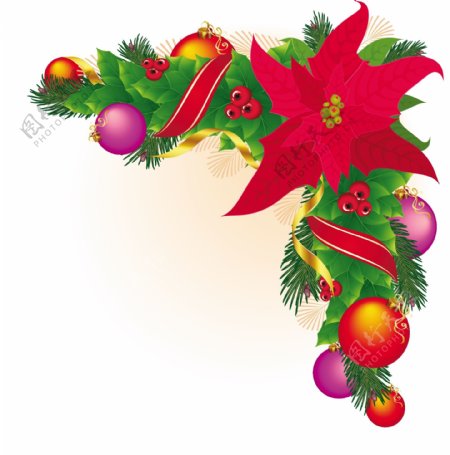 圣诞角装饰圣诞星冬青花环是红色和金色丝带矢量
