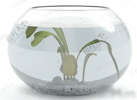 玻璃鱼缸3d模型