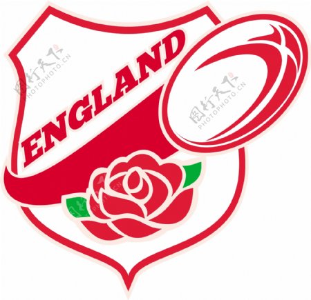 英国橄榄球英格兰玫瑰球罩