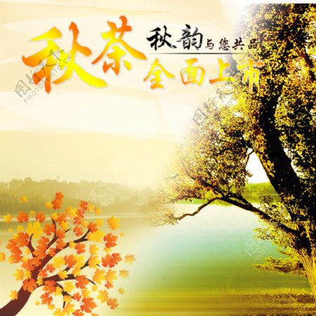 秋天的树叶黄了设计素材海报