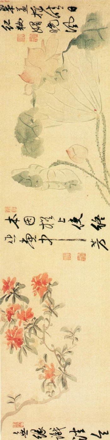 花卉图部分沈仕中国传世名画