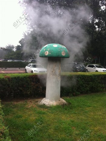 蘑菇雾云