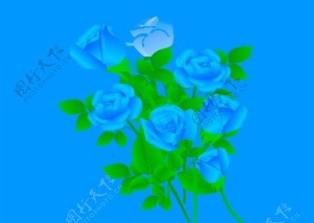 动态蓝色玫瑰