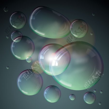 水珠水滴晶莹透明图片