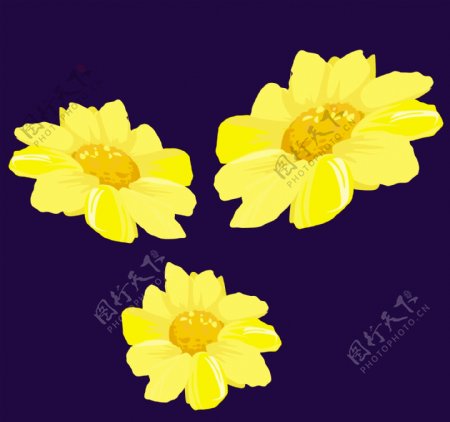 矢量黄色花朵图案