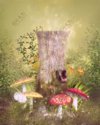 浪漫仙境蘑菇背景素材