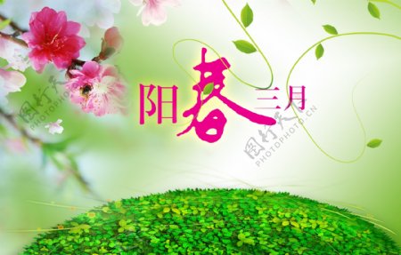 阳春三月图片