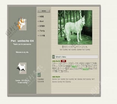 宠物网页素材模板