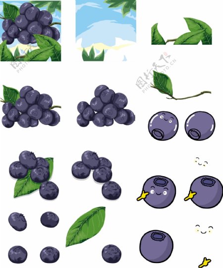 蓝莓合集图片