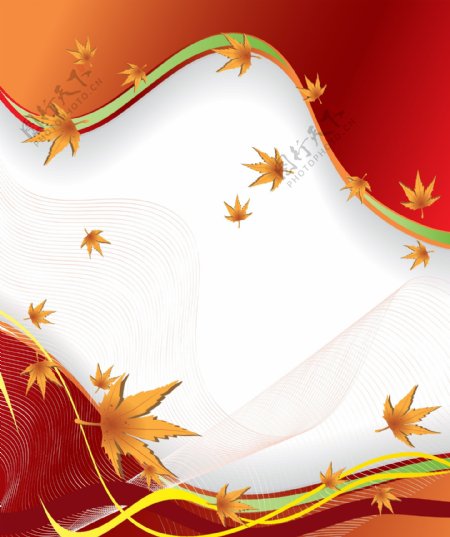 矢量秋季枫叶边框背景