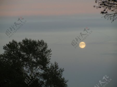 清晨月亮图片