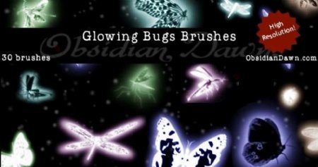 发光的昆虫高清梦幻笔刷SSglowingbugs图片
