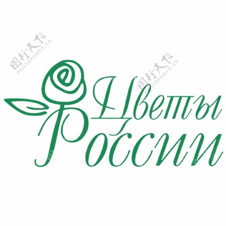 俄罗斯的花
