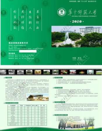 华中师范大学宣传单图片