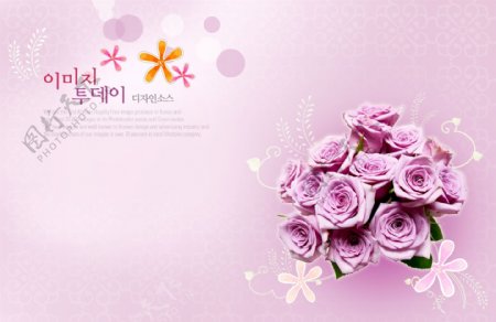 粉色玫瑰韩文背景玫瑰大背景下载