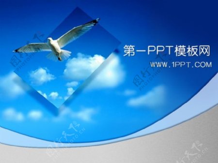 飞翔的海鸥背景PPT模板下载
