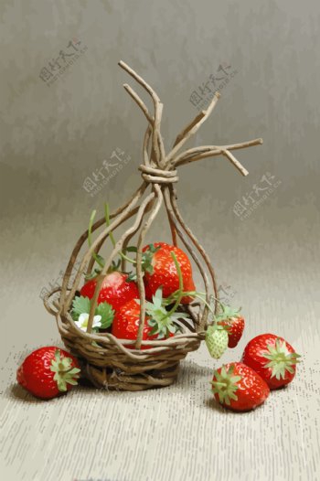 草莓静物矢量图