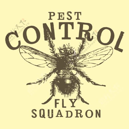 印花矢量图T恤图案图文结合动物昆虫免费素材