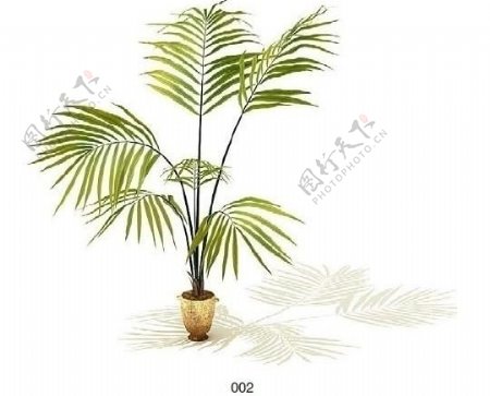 3d植物模型图片