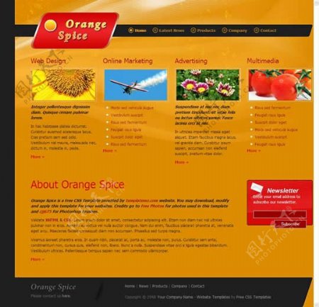 国外橙色植物创意网站模板