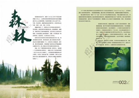 森林画册内页psd免费下载