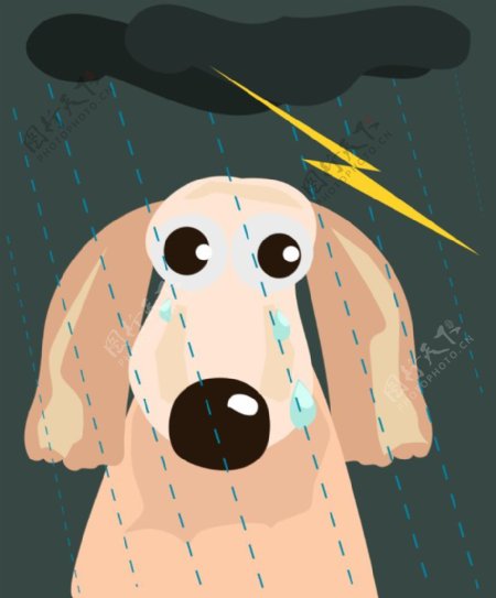 在雨中悲伤的狗