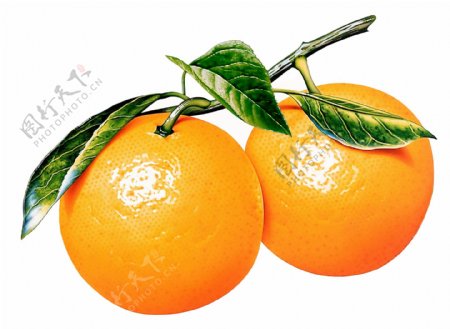 橘子特写带叶的橘子图片橘子素材