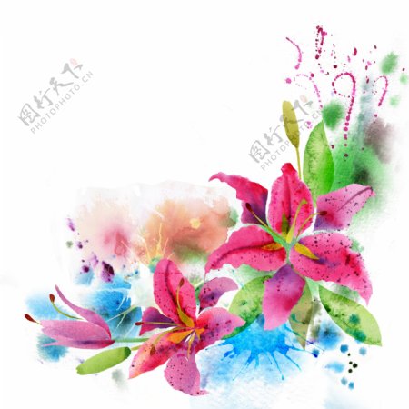 水墨花卉图片