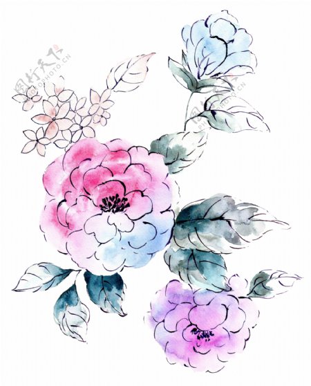 手绘水彩花卉设计