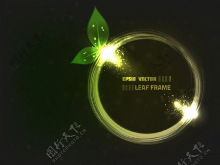 动感光线圈圈绿叶水滴水珠图片