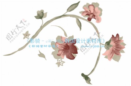 花纹花朵装饰修饰HanMaker韩国设计素材库