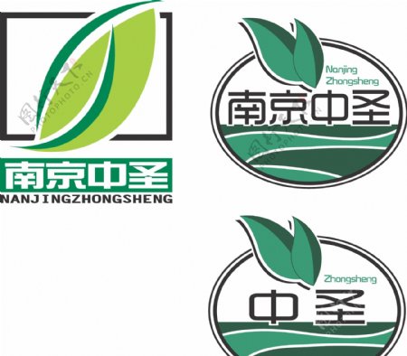 南京中圣logo图片
