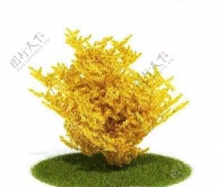 国外精品植物树木灌木3D模型35套2
