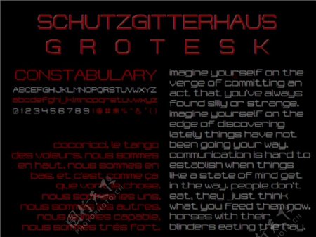 schutzgitterhausGroteskNBP字体