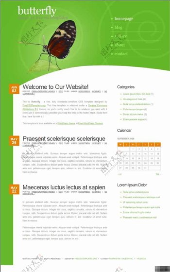 绿之蝶个性信息网页模板