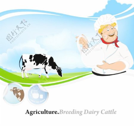 奶牛牧场卡通海报矢量图片