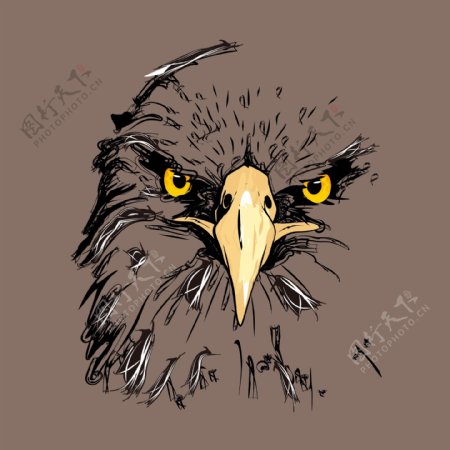 印花矢量图T恤图案动物鹰色彩免费素材