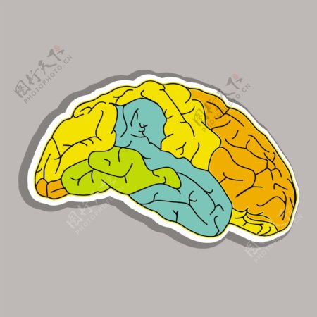 丰富多彩的人类大脑的灰色背景摘要医学概念