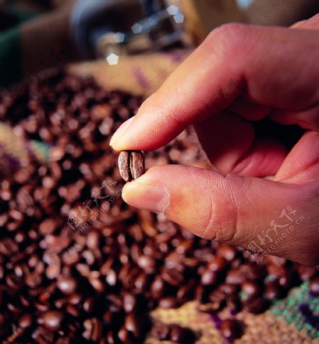 原产地高级咖啡豆