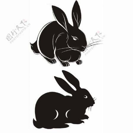 位图动物兔子色彩黑白色免费素材