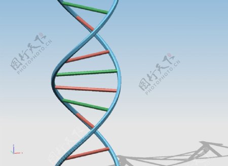 DNA