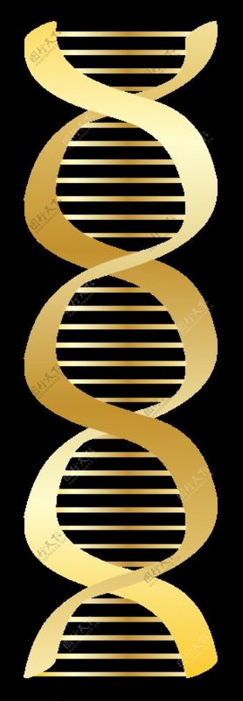 金DNA图标