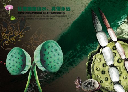 莲藕中国风水墨图片