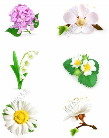 6款精美花卉设计矢量素材