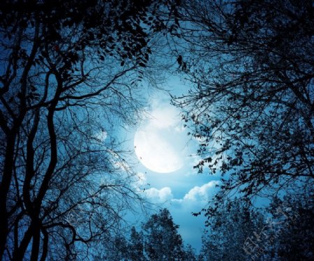 夜晚漂亮月光