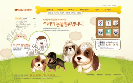 宠物狗狗类网页设计PSD模板