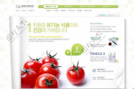 西红柿网页素材