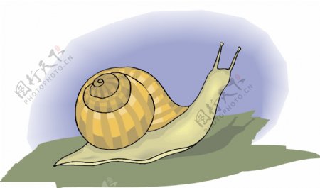蜗牛4